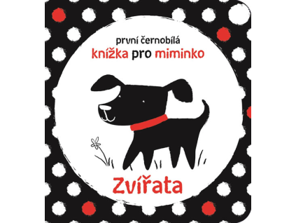 obrázek 2022 10 01 165525400