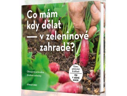 co mám kdy dělat