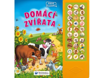 domácí
