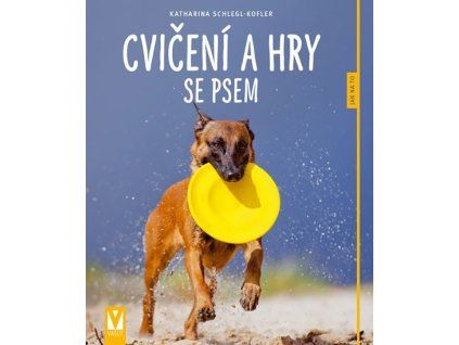 cvičení