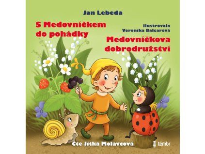 s medovní