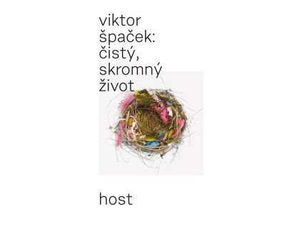 čistý