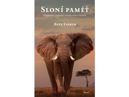 sloní