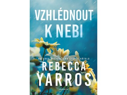 vzhlednout k nebi 9788025370582