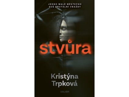 stvura 9788028411251
