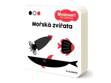 mořský svět