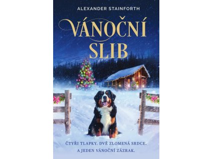 vanocni slib 9788075466822