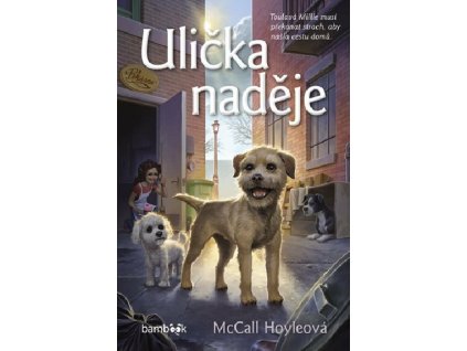 Ulička naděje - Hoyleová McCall