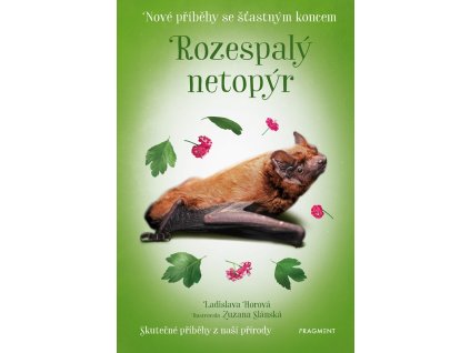 a101f0f0015691 nove pribehy se stastnym koncem rozespaly netopyr 2d