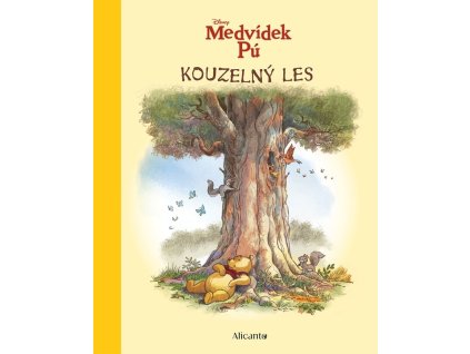 A101M0F0017507 medvidek pu kouzelny les 2d