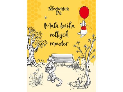 A101M0F0018388 medvidek pu mala kniha velkych mouder 2d
