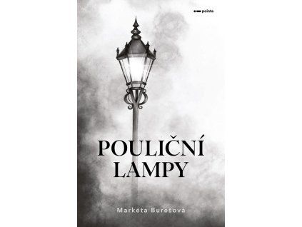 A101I0F0018525 poulicni lampy 2d