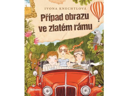 a101a0f0018417 pripad obrazu ve zlatem ramu 2d