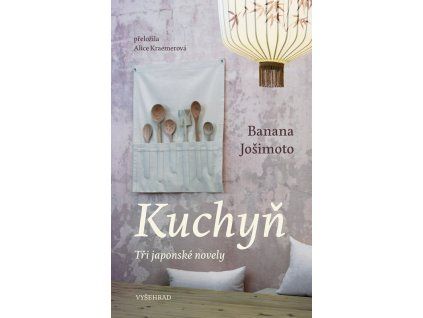 A101V0F0018749 Kuchyn 2d