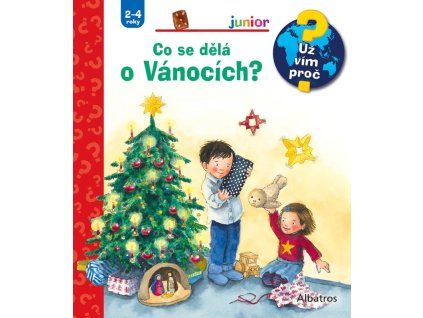 A10110F0019458 Co se dela o Vanocich 2d