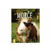 morce roztomily a vitalni spolecnik 9788075410177 4