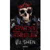 A101X0F0018768 spatny strelec 2d
