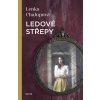 a10150f0017948 ledove strepy 2d (1)