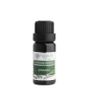e0036c lemongras 20 ml 8595100209030 1739800927